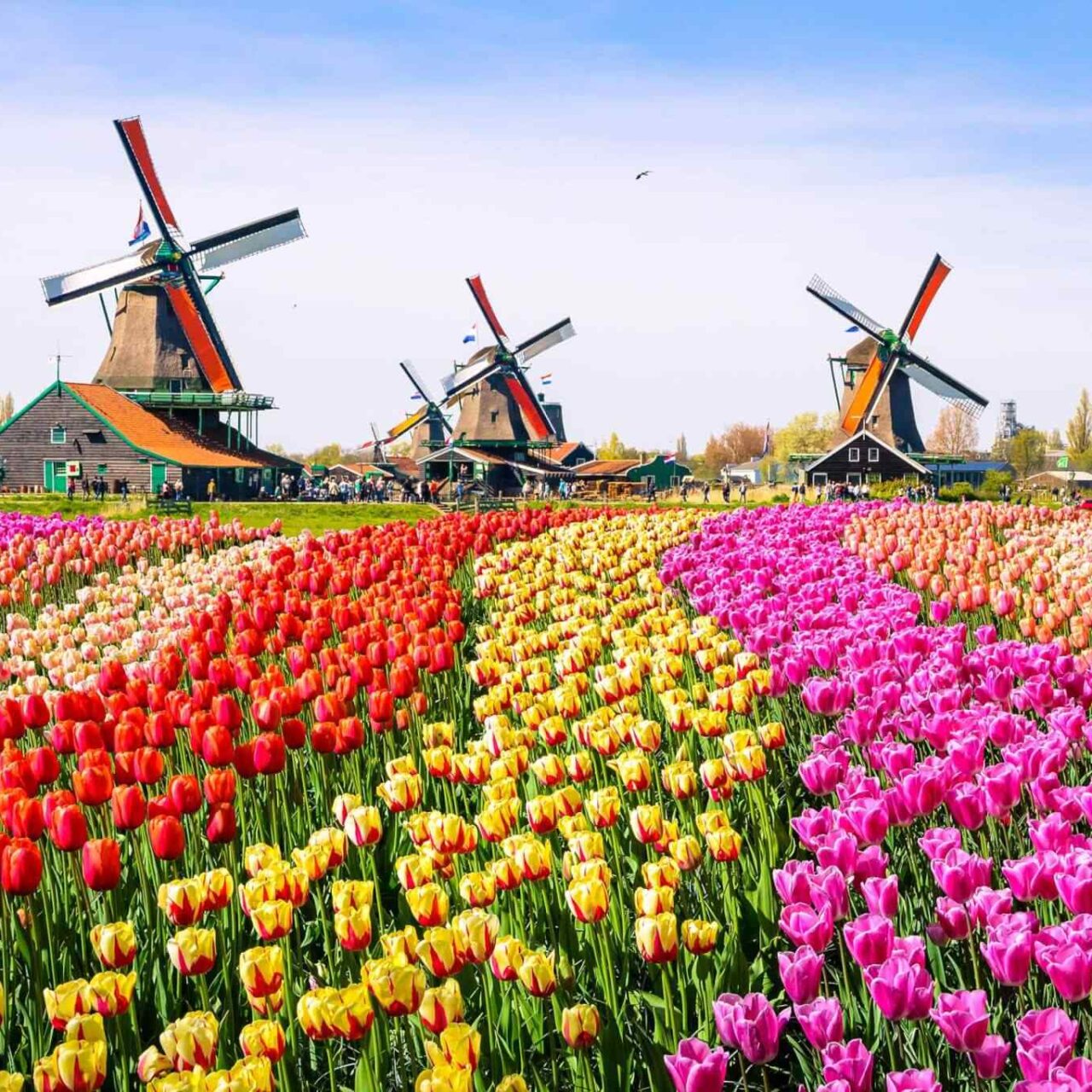 https://ru.usb-travel.com/wp-content/uploads/sites/6/2018/09/destination-netherlands-01-1280x1280.jpg