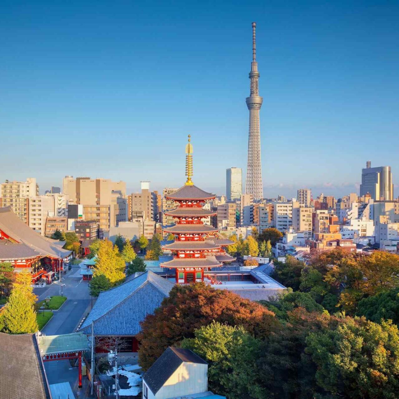 https://ru.usb-travel.com/wp-content/uploads/sites/6/2018/09/destination-tokyo-04-1280x1280.jpg