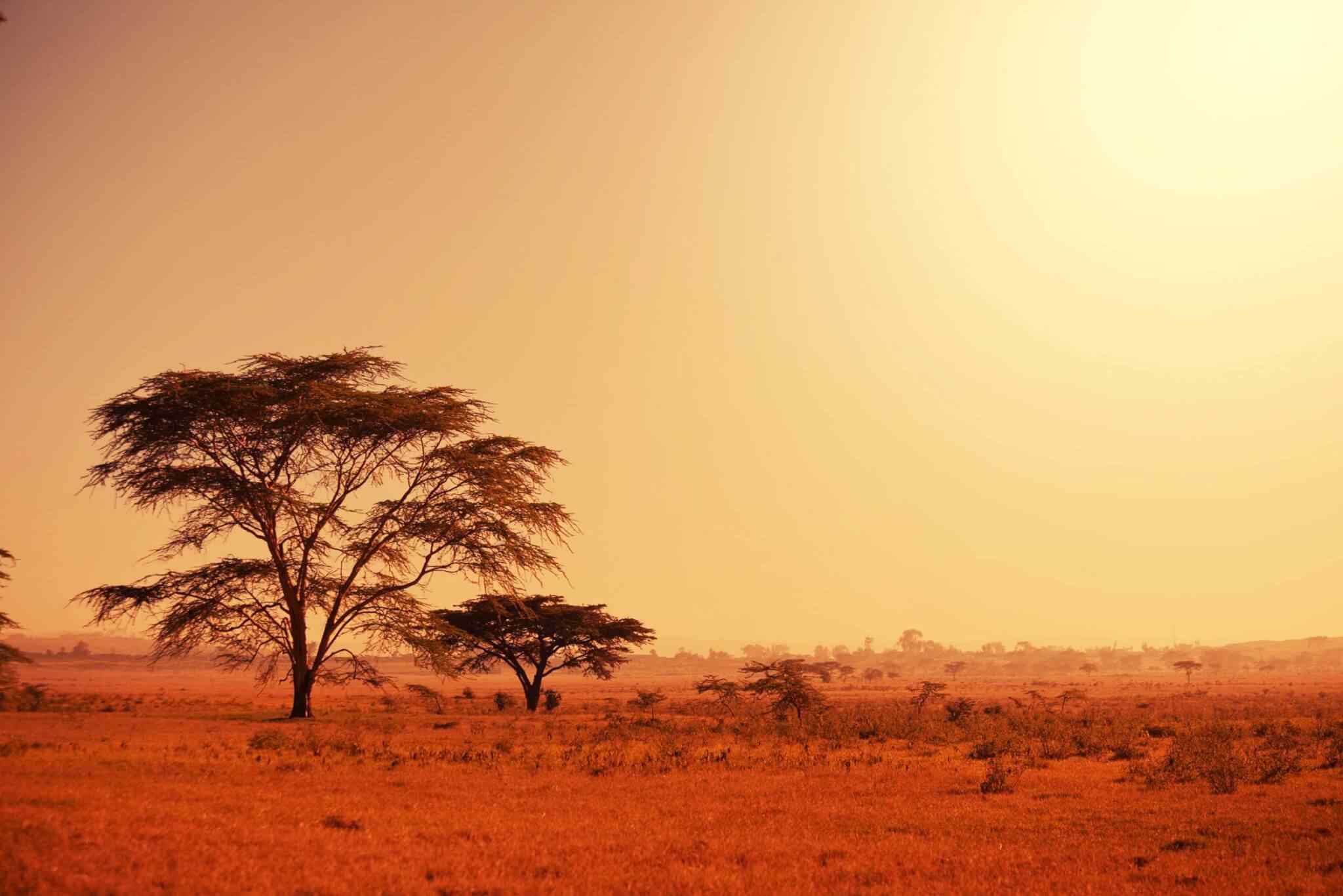 https://ru.usb-travel.com/wp-content/uploads/sites/6/2018/09/tour-africa-02.jpg