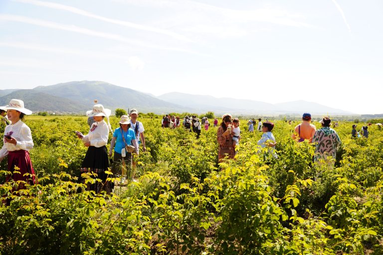 https://ru.usb-travel.com/wp-content/uploads/sites/6/2024/08/Kazanlak_Rosober16-768x512.jpg